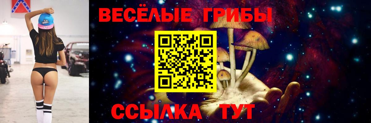 Гусев  Псилоцибиновые грибы Psilocybine cubensis  Вход с VPN  Псилоцибиновые грибы прущие грибы 